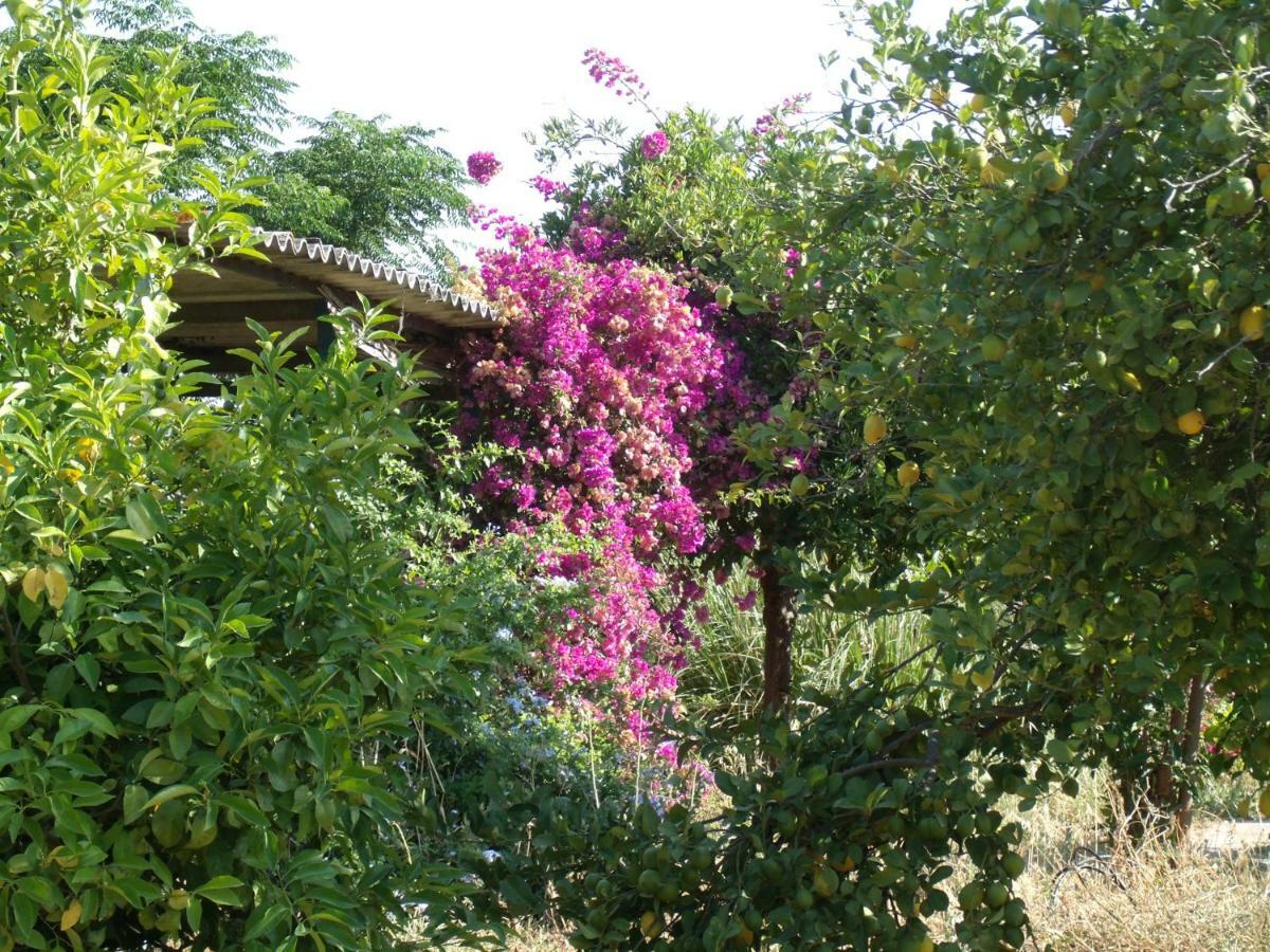 La Finca Blanca Алора Екстериор снимка