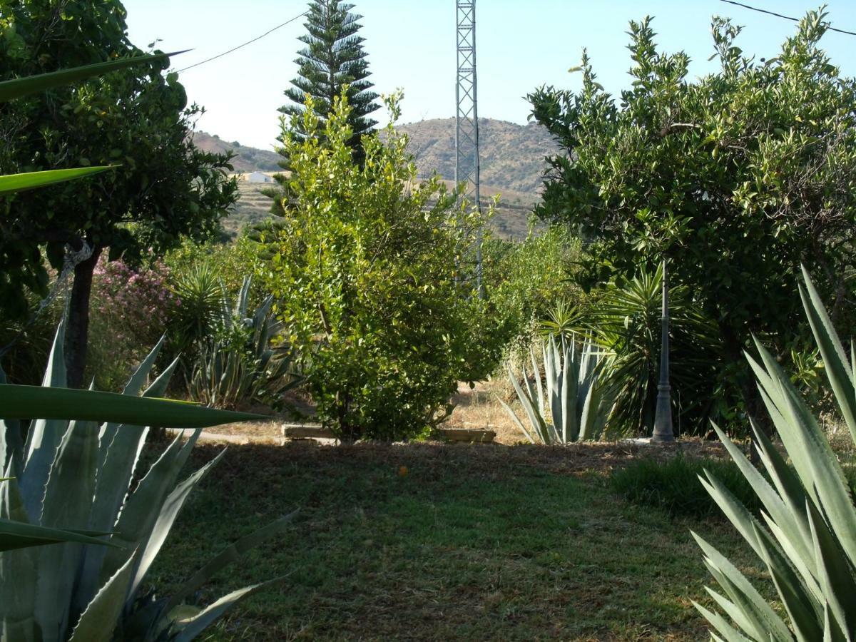 La Finca Blanca Алора Екстериор снимка