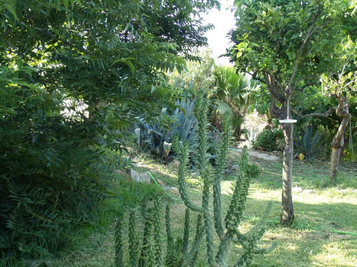 La Finca Blanca Алора Екстериор снимка